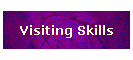 Visiting Skills