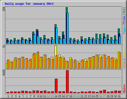 Daily usage for January 2013