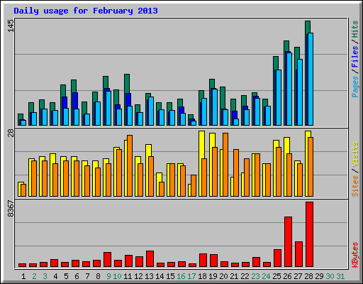 Daily usage for February 2013