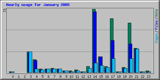Hourly usage for January 2005