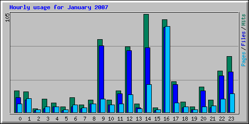 Hourly usage for January 2007