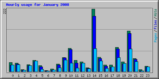 Hourly usage for January 2008