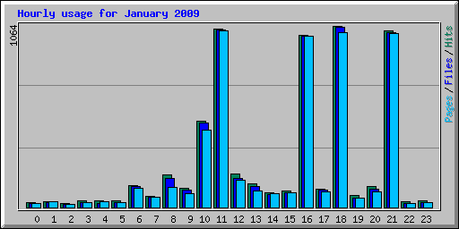 Hourly usage for January 2009