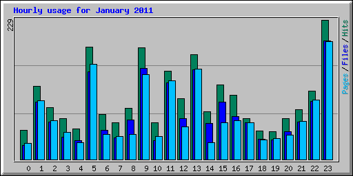 Hourly usage for January 2011