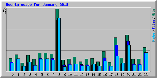 Hourly usage for January 2013