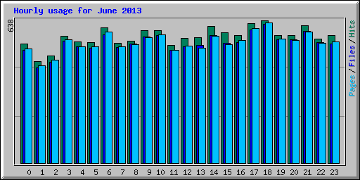 Hourly usage for June 2013