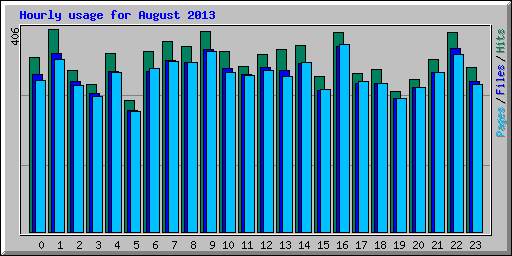 Hourly usage for August 2013