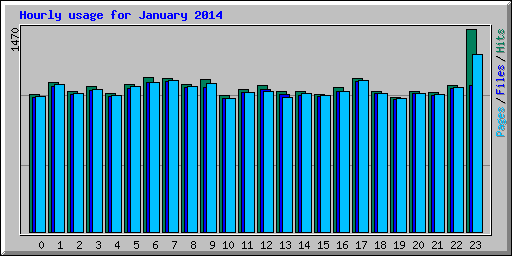 Hourly usage for January 2014