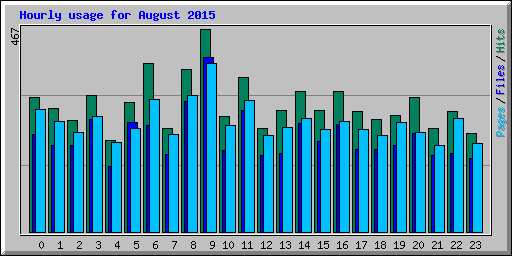 Hourly usage for August 2015