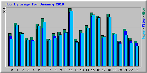 Hourly usage for January 2016